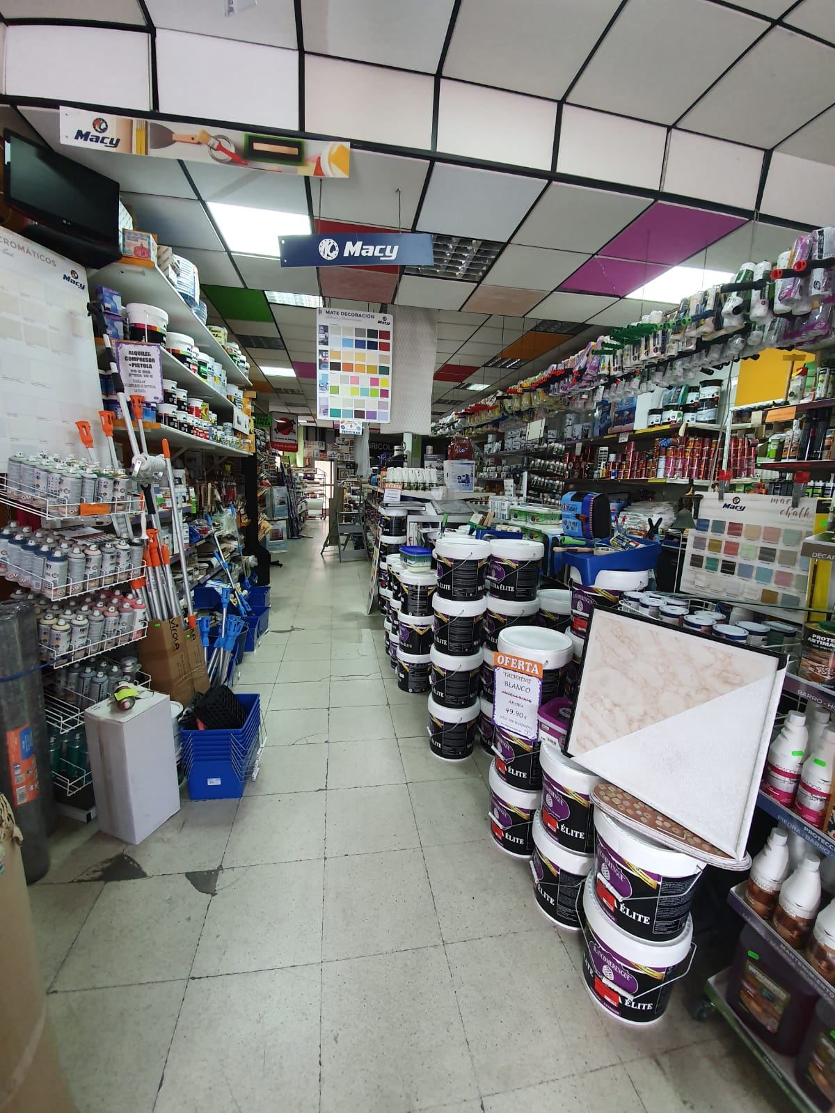 Pinturas profesionales en estantería